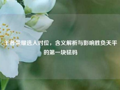 王者荣耀选人对位，含义解析与影响胜负天平的第一块砝码