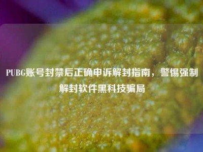 PUBG账号封禁后正确申诉解封指南，警惕强制解封软件黑科技骗局
