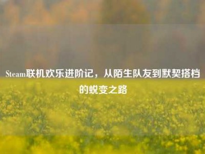 Steam联机欢乐进阶记，从陌生队友到默契搭档的蜕变之路