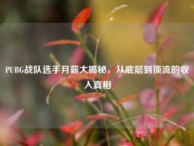 PUBG战队选手月薪大揭秘，从底层到顶流的收入真相
