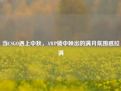 当CSGO遇上中秋，AWP镜中映出的满月氛围感拉满