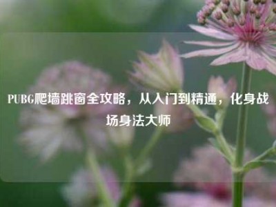 PUBG爬墙跳窗全攻略，从入门到精通，化身战场身法大师