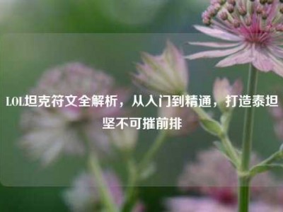 LOL坦克符文全解析，从入门到精通，打造泰坦坚不可摧前排