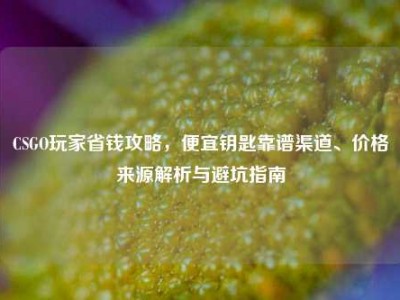 CSGO玩家省钱攻略，便宜钥匙靠谱渠道、价格来源解析与避坑指南