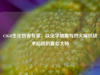 CSGO生化妨害专家，以化学烟雾与烈火编织战术陷阱的幕后大师