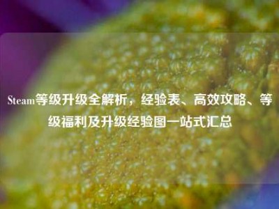 Steam等级升级全解析，经验表、高效攻略、等级福利及升级经验图一站式汇总