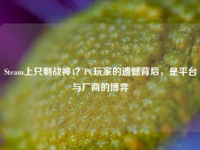 Steam上只剩战神4？PC玩家的遗憾背后，是平台与厂商的博弈
