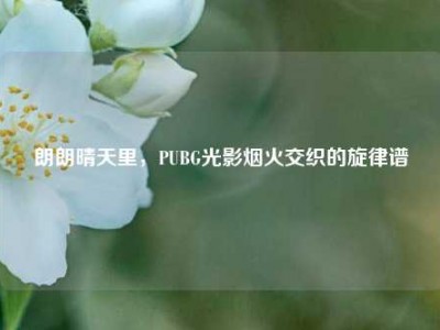 朗朗晴天里，PUBG光影烟火交织的旋律谱