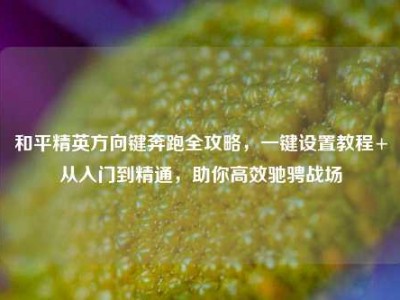 和平精英方向键奔跑全攻略，一键设置教程+从入门到精通，助你高效驰骋战场