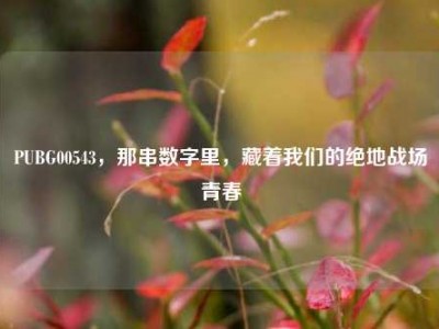 PUBG00543，那串数字里，藏着我们的绝地战场青春