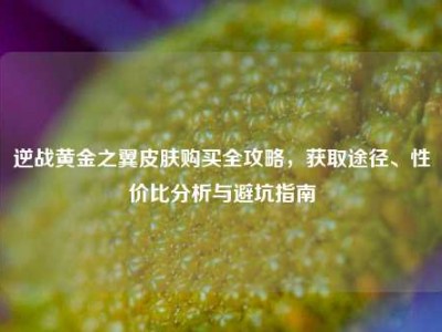 逆战黄金之翼皮肤购买全攻略，获取途径、性价比分析与避坑指南