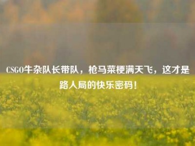 CSGO牛杂队长带队，枪马菜梗满天飞，这才是路人局的快乐密码！