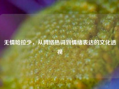 无情哈拉少，从网络热词到情绪表达的文化透视