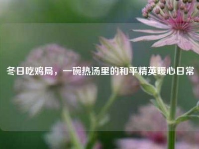 冬日吃鸡局，一碗热汤里的和平精英暖心日常