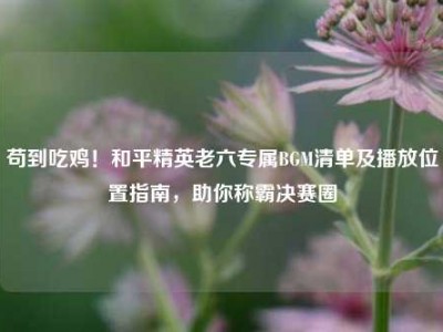 苟到吃鸡！和平精英老六专属BGM清单及播放位置指南，助你称霸决赛圈