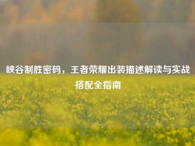 峡谷制胜密码，王者荣耀出装描述解读与实战搭配全指南