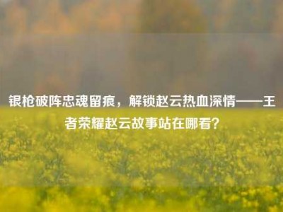 银枪破阵忠魂留痕，解锁赵云热血深情——王者荣耀赵云故事站在哪看？