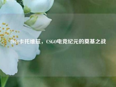 2014卡托维兹，CSGO电竞纪元的奠基之战