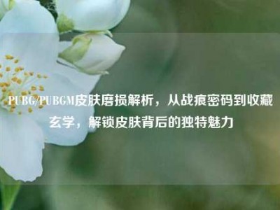 PUBG/PUBGM皮肤磨损解析，从战痕密码到收藏玄学，解锁皮肤背后的独特魅力