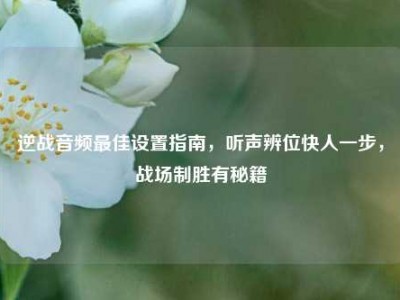 逆战音频最佳设置指南，听声辨位快人一步，战场制胜有秘籍