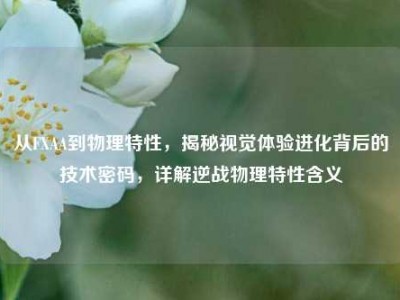 从FXAA到物理特性，揭秘视觉体验进化背后的技术密码，详解逆战物理特性含义