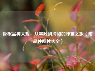 辣椒品种大观，从辛辣到清甜的味觉之旅（附品种图片大全）