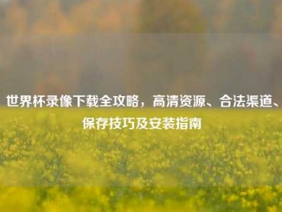 世界杯录像下载全攻略，高清资源、合法渠道、保存技巧及安装指南