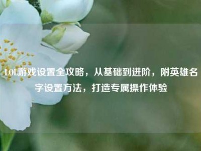LOL游戏设置全攻略，从基础到进阶，附英雄名字设置方法，打造专属操作体验