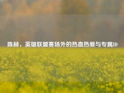陈赫，英雄联盟赛场外的热血热爱与专属ID