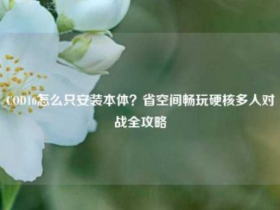 COD16怎么只安装本体？省空间畅玩硬核多人对战全攻略