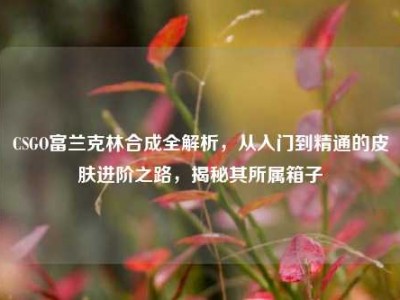 CSGO富兰克林合成全解析，从入门到精通的皮肤进阶之路，揭秘其所属箱子