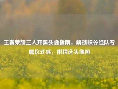 王者荣耀三人开黑头像指南，解锁峡谷组队专属仪式感，附精选头像图