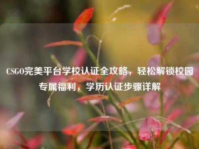 CSGO完美平台学校认证全攻略，轻松解锁校园专属福利，学历认证步骤详解