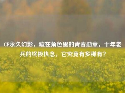CF永久幻影，藏在角色里的青春勋章，十年老兵的终极执念，它究竟有多稀有？