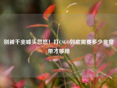 别被千兆噱头忽悠！打CSGO到底需要多少兆宽带才够用