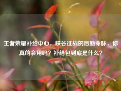 王者荣耀补给中心，峡谷征战的后勤命脉，你真的会用吗？补给包到底是什么？