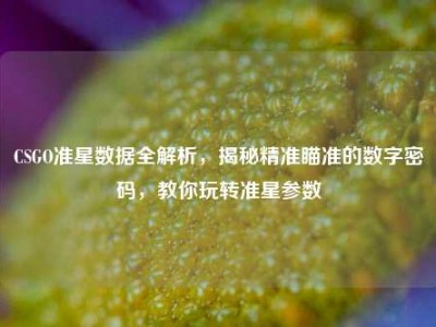 CSGO准星数据全解析，揭秘精准瞄准的数字密码，教你玩转准星参数