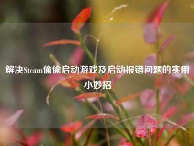 解决Steam偷偷启动游戏及启动报错问题的实用小妙招