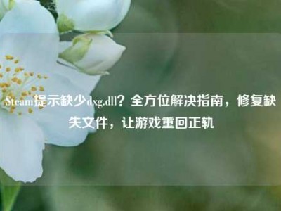 Steam提示缺少dxg.dll？全方位解决指南，修复缺失文件，让游戏重回正轨