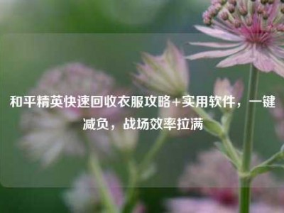 和平精英快速回收衣服攻略+实用软件，一键减负，战场效率拉满