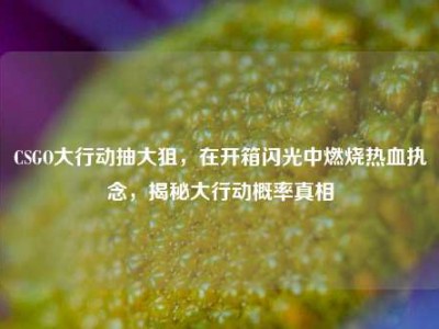 CSGO大行动抽大狙，在开箱闪光中燃烧热血执念，揭秘大行动概率真相