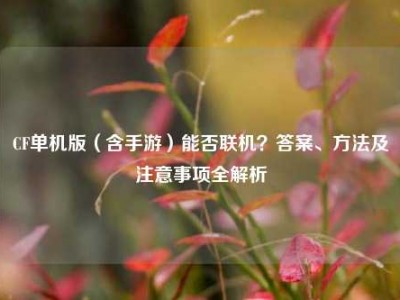 CF单机版（含手游）能否联机？答案、方法及注意事项全解析