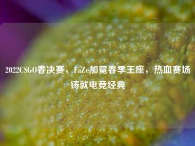 2022CSGO春决赛，FaZe加冕春季王座，热血赛场铸就电竞经典