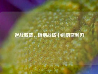 逆战蓝蓝，硝烟战场中的蔚蓝利刃