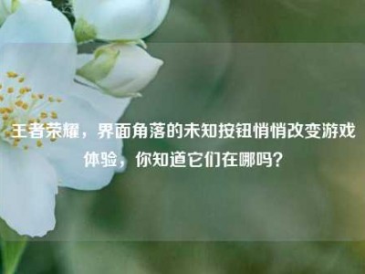 王者荣耀，界面角落的未知按钮悄悄改变游戏体验，你知道它们在哪吗？