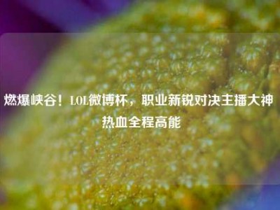 燃爆峡谷！LOL微博杯，职业新锐对决主播大神 热血全程高能
