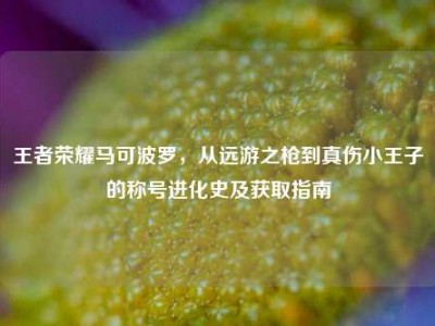王者荣耀马可波罗，从远游之枪到真伤小王子的称号进化史及获取指南