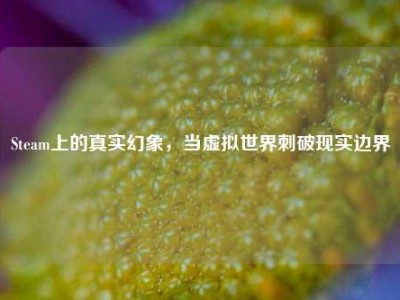Steam上的真实幻象，当虚拟世界刺破现实边界