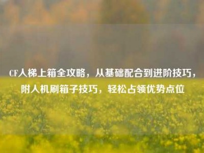 CF人梯上箱全攻略，从基础配合到进阶技巧，附人机刷箱子技巧，轻松占领优势点位
