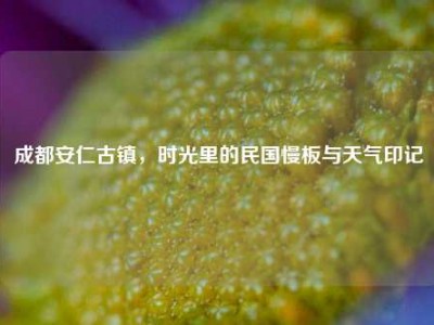 成都安仁古镇，时光里的民国慢板与天气印记